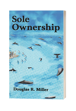 Sole Ownership